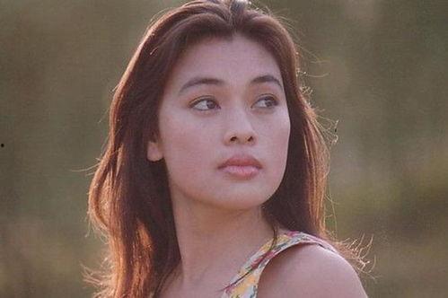 史可的资料,探寻历史足迹，解读人物传奇