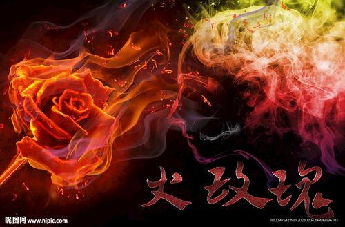 火玫瑰图片